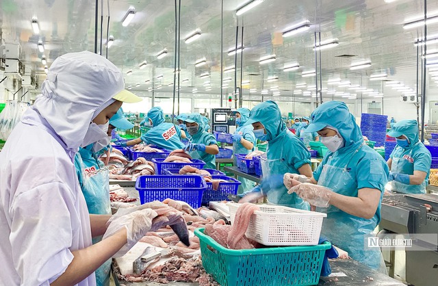 Doanh nghiệp thủy sản tăng tốc, nhưng "bài toán Mỹ" vẫn là ẩn số lớn- Ảnh 1.