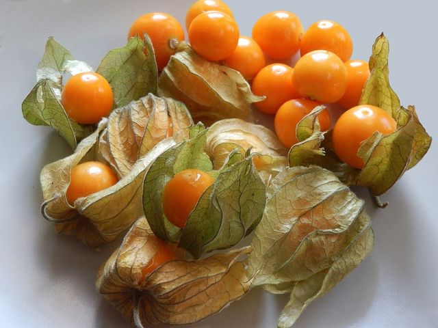 Loại quả dại ở Việt Nam ít ai "ngó", qua nơi này "cơn sốt" 700.000 đồng/kg- Ảnh 2. Loại quả dại ở Việt Nam ít ai "ngó", qua nơi này "cơn sốt" 700.000 đồng/kg- Ảnh 2.
