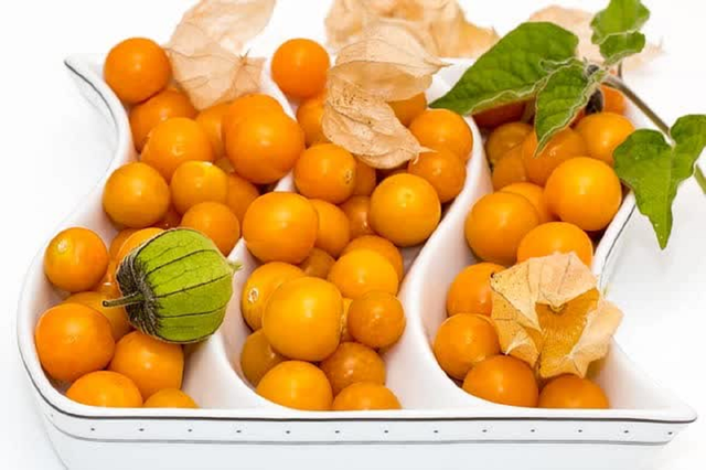 Loại quả dại ở Việt Nam ít ai "ngó", qua nơi này "cơn sốt" 700.000 đồng/kg- Ảnh 4. Loại quả dại ở Việt Nam ít ai "ngó", qua nơi này "cơn sốt" 700.000 đồng/kg- Ảnh 4.