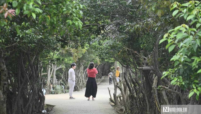 Đánh thức “báu vật” của hệ đầm phá lớn nhất Đông Nam Á - Ảnh 2.