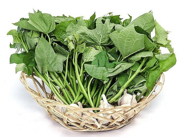 Loại rau xưa người Việt cho lợn ăn, nay "trời Tây" bán hơn 1 triệu/kg - Ảnh 1.