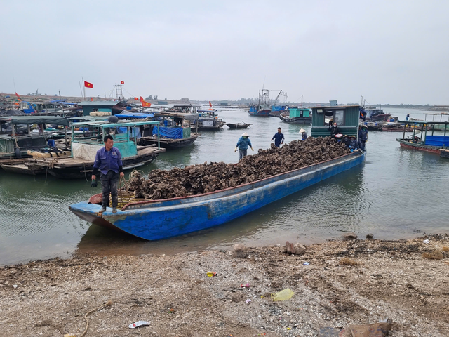 Quảng Ninh: Dư nợ tín dụng tăng 7,2% từ đầu năm - Ảnh 2.