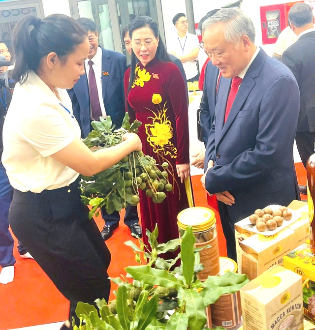 Phó Thủ tướng Nguyễn Hòa Bình: Cán bộ Quảng Ngãi phải dám nghĩ, dám làm, dám chịu trách nhiệm- Ảnh 5. Phó Thủ tướng Nguyễn Hòa Bình: Cán bộ Quảng Ngãi phải dám nghĩ, dám làm, dám chịu trách nhiệm- Ảnh 5.