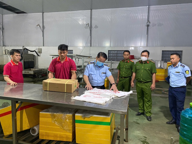 Vụ phát hiện 100 tấn thịt lợn không rõ nguồn gốc ở Gia Lai: Xử phạt hành chính 90 triệu đồng- Ảnh 1.