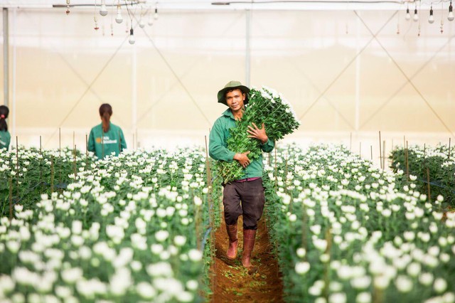 Nợ vay của PAN Farm phình to trong nửa đầu năm 2025 - Ảnh 1.