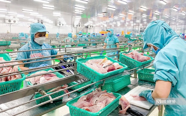 Giá cá tra xuất khẩu được dự báo sẽ tăng mạnh các tháng cuối năm - Ảnh 1.