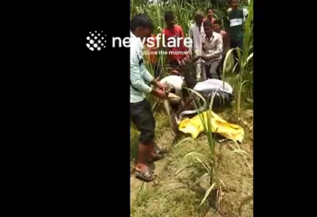 Đi làm đồng, nông dân phát hiện cảnh tượng nổi da gà giữa bụi cây - Ảnh 1.