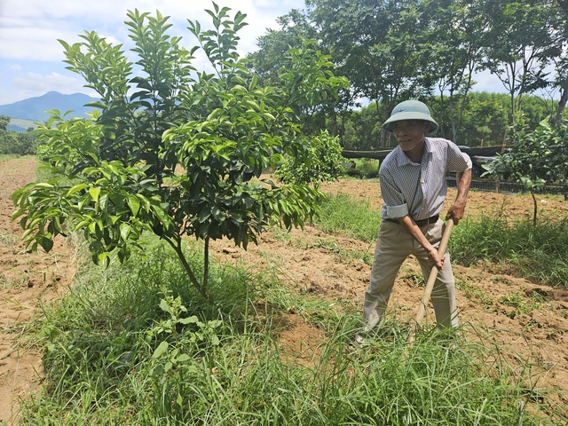 Lão nông từng tái nghèo vì "vàng trắng" nay thành tỷ phú cây ăn quả- Ảnh 2.