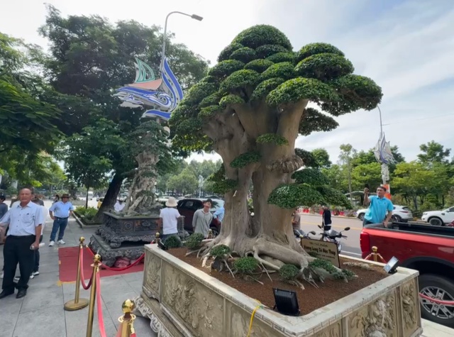 Hơn 5.000 tác phẩm trưng bày tại Liên hoan triển lãm sinh vật cảnh tỉnh Gia Lai- Ảnh 2. Hơn 5.000 tác phẩm trưng bày tại Liên hoan triển lãm sinh vật cảnh tỉnh Gia Lai- Ảnh 2.