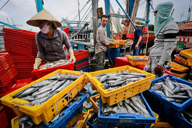 Bộ trưởng Công Thương gửi thư tới Mỹ trước lệnh cấm nhập khẩu hải sản Việt Nam- Ảnh 1.