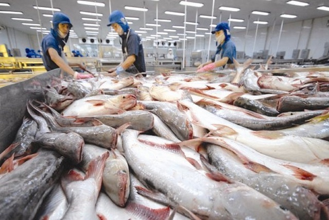 Xuất khẩu cá tra vượt mốc 1,4 tỷ USD- Ảnh 1.