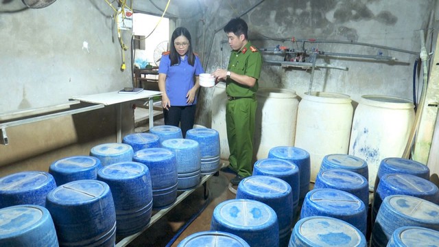 Khởi tố người phụ nữ dùng hóa chất sản xuất giá đỗ - Ảnh 1.
