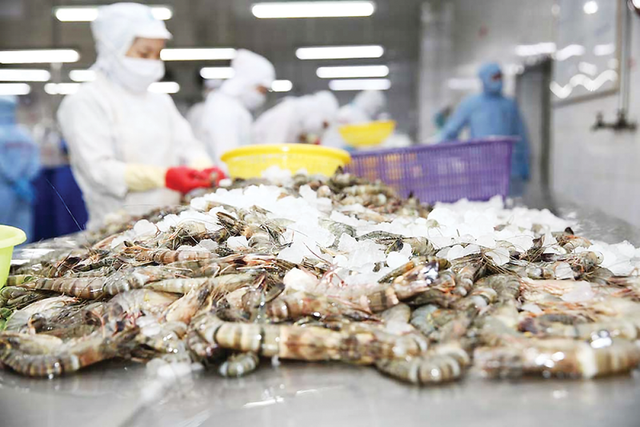 Xuất khẩu tôm Việt Nam vượt 2,9 tỷ USD với nhiều điểm sáng tại Trung Quốc và EU- Ảnh 1.