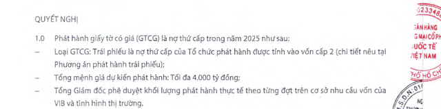VIB muốn huy động tối đa 4.000 tỷ đồng trái phiếu - Ảnh 1.