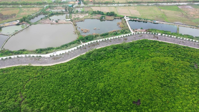 Quảng Ninh có hơn 36.300ha rừng "bền vững"- Ảnh 2.