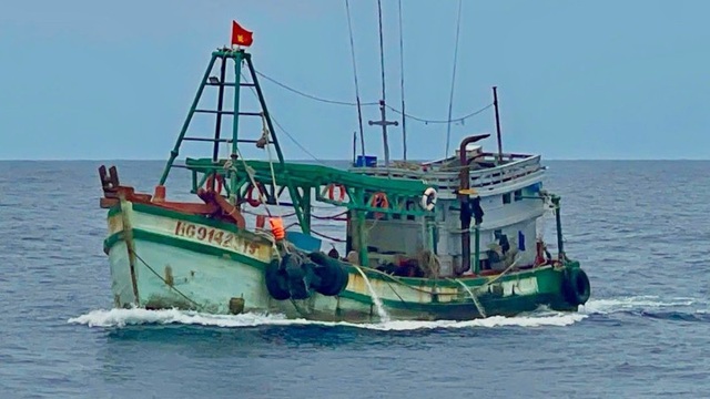 Ngư dân bị rắn biển cắn khi đang khai thác hải sản - Ảnh 1. Ngư dân bị rắn biển cắn khi đang khai thác hải sản - Ảnh 1.