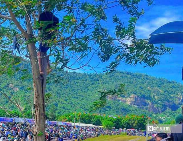 Nghẹt thở cuộc so tài chung kết tại Lễ hội đua bò An Giang- Ảnh 5. Nghẹt thở cuộc so tài chung kết tại Lễ hội đua bò An Giang- Ảnh 5.