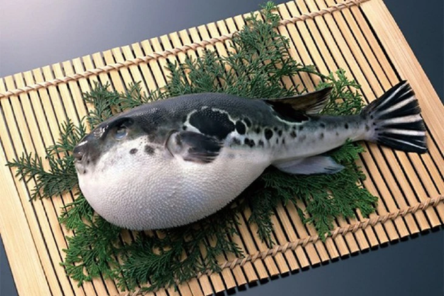 Nấu món cá tưởng ngon hóa ra "kịch độc", một người tử vong, 2 người còn lại nhập viện- Ảnh 1.