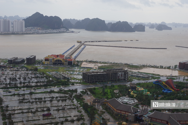 Quảng Ninh: Triển khai biện pháp ứng phó bão Ragasa - Ảnh 3.