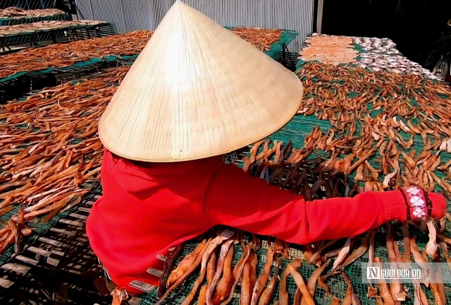 Cận cảnh “thủ phủ” cá khô lớn nhất Tam Nông - Ảnh 4.