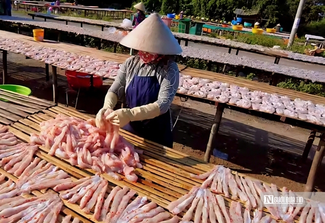 Cận cảnh “thủ phủ” cá khô lớn nhất Tam Nông - Ảnh 9.