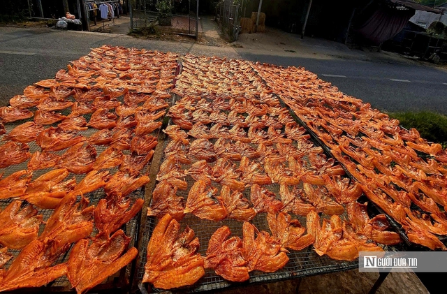 Cận cảnh “thủ phủ” cá khô lớn nhất Tam Nông - Ảnh 10.