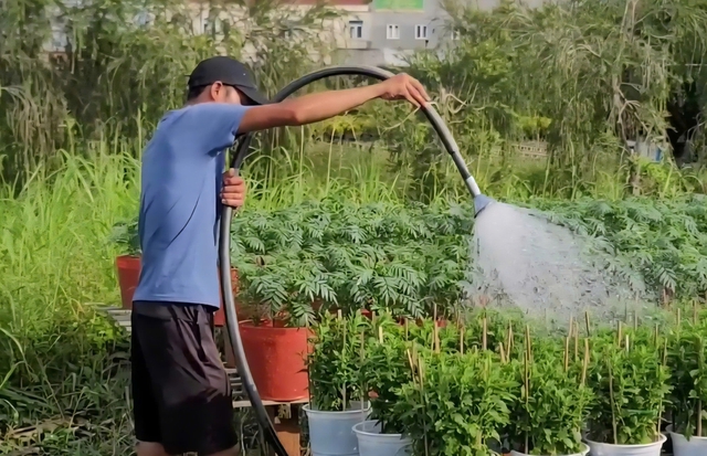 “Thủ phủ hoa kiểng miền Tây” tất bật chăm hoa, đón cơ hội kép dịp cuối năm- Ảnh 4.