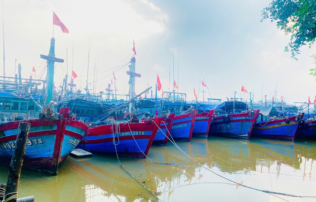Thanh Hóa: Công an hỗ trợ dân neo đậu tàu thuyền, chặt tỉa cây ứng phó với bão số 9 - Ảnh 4.