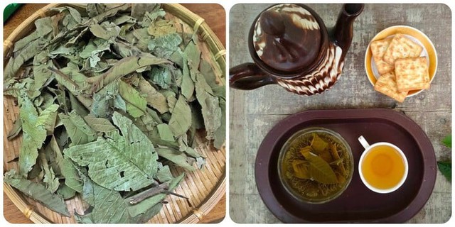 Đừng chỉ ăn quả, lá loại cây này quý như "nhân sâm của người nghèo", nhiều người không biết thường bỏ phí - Ảnh 1.