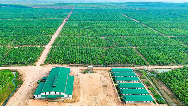 Chủ nợ và Hoàng Anh Gia Lai cùng hưởng lợi khi "về chung một nhà"- Ảnh 2.