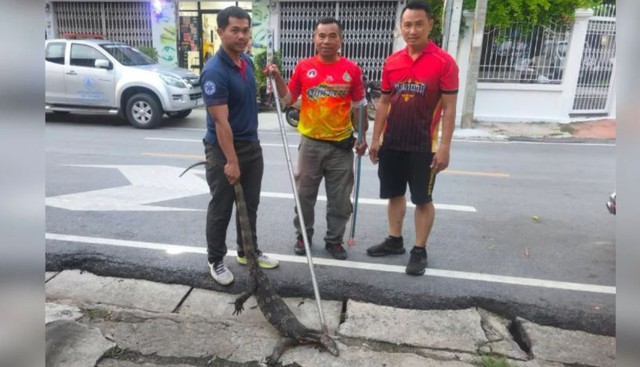 Đang ở trong nhà hàng, thực khách la hét khi chứng kiến cảnh tượng "nổi da gà" - Ảnh 2.