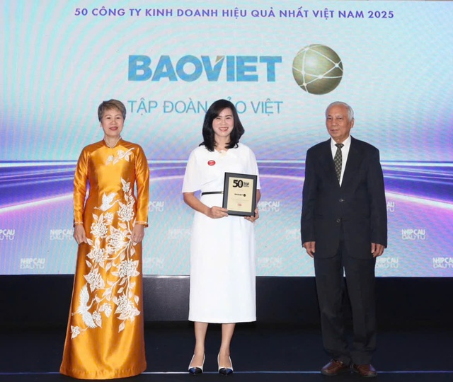 Bảo Việt (BVH): Top 50 Công ty kinh doanh hiệu quả nhất Việt Nam 2025 - Ảnh 2.
