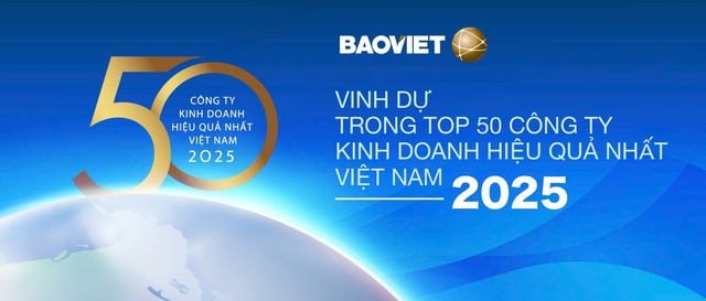 Bảo Việt (BVH): Top 50 Công ty kinh doanh hiệu quả nhất Việt Nam 2025 - Ảnh 3.