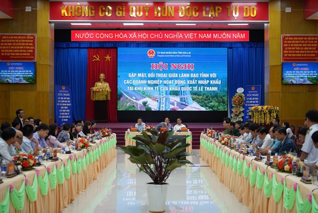 Doanh nghiệp xuất khẩu Gia Lai gặp khó vì "85km phải 8 lần kiểm tra giấy tờ"- Ảnh 1.