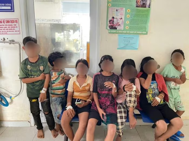 Bắt con vật quen thuộc trong vườn nhà ăn, 9 học sinh phải nhập viện cấp cứu - Ảnh 1.