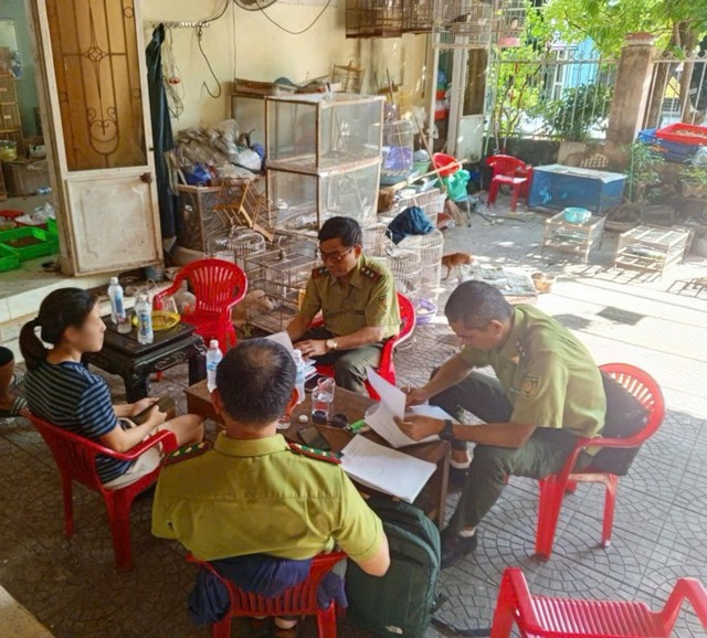 Giải cứu chim rừng giữa mùa Vu Lan, Huế quyết dẹp “nạn” phóng sinh sai cách- Ảnh 3.