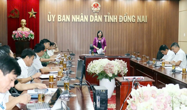 Đồng Nai: 23 mỏ đá được phép tăng công suất để phục vụ dự án trọng điểm- Ảnh 1.