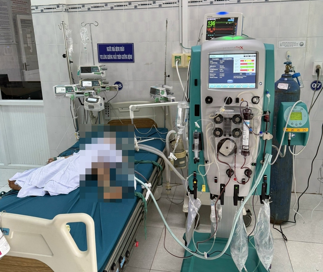 3 bé trai mồ côi bị ong vò vẽ đốt, một bé tử vong- Ảnh 1. 3 bé trai mồ côi bị ong vò vẽ đốt, một bé tử vong- Ảnh 1.