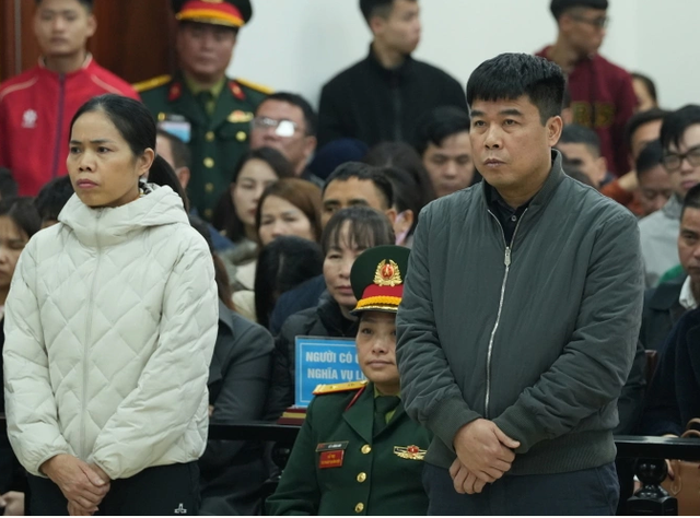  Hậu "ph&aacute;o", cựu Chủ tịch Tập đo&agrave;n Ph&uacute;c Sơn lĩnh &aacute;n th&ecirc;m 11 năm  - Ảnh 2.