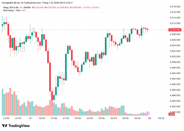 Gi&aacute; v&agrave;ng h&ocirc;m nay 10/1: Trong nước &ldquo;leo thang&rdquo;, thế giới phục hồi nhẹ- Ảnh 1.