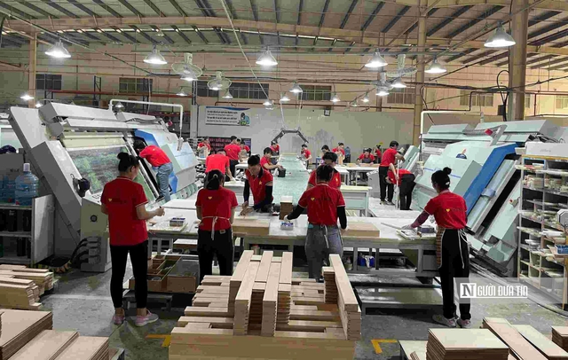 Tp.HCM: Khuyến kh&iacute;ch c&aacute;c hộ kinh doanh nhỏ lẻ chuyển đổi sang m&ocirc; h&igrave;nh doanh nghiệp- Ảnh 2.