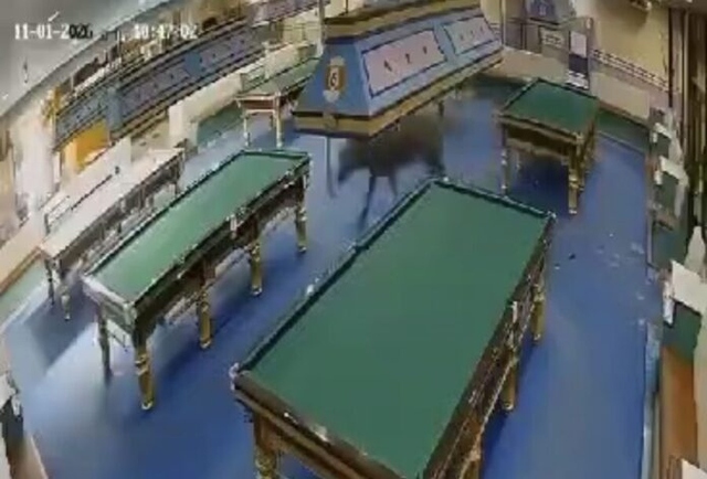 Tr&acirc;u trốn khỏi l&ograve; mổ, lao v&agrave;o cửa h&agrave;ng bi-a khiến người chơi bỏ chạy - Ảnh 1.