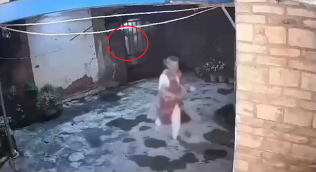 Đang đứng ngo&agrave;i s&acirc;n, cụ b&agrave; bất ngờ thấy cảnh tượng "nổi da g&agrave;" giữa đ&ecirc;m - Ảnh 1.