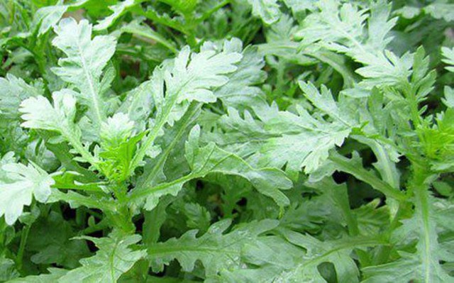 Loại rau được ca ngợi "tốt nhất thế giới", hóa ra chợ Việt đang bán đầy lại còn rẻ - Ảnh 2.