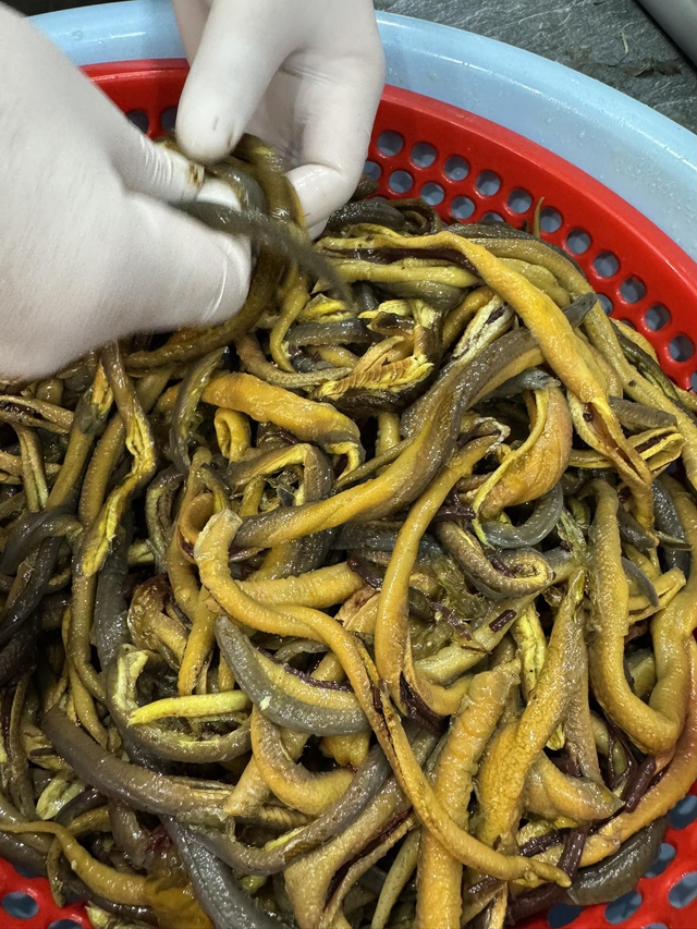 Đặc sản xứ Nghệ: "Bổ hơn s&acirc;m" l&agrave;m nhiều m&oacute;n ngon, bổ, l&agrave; di sản văn h&oacute;a phi vật thể quốc gia - Ảnh 1.