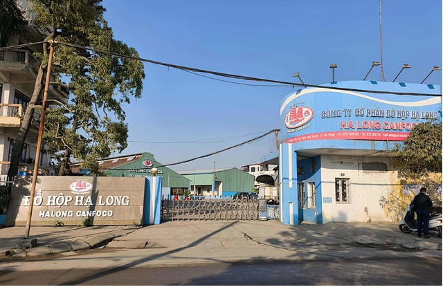 Khởi tố Tổng gi&aacute;m đốc Đồ hộp Hạ Long do li&ecirc;n quan 130 tấn thịt nhiễm bệnh - Ảnh 1.