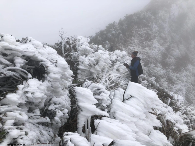 Dự b&aacute;o thời tiết 16/1: Miền Bắc r&eacute;t s&acirc;u, nhiều nơi khả năng c&oacute; băng gi&aacute; v&agrave; sương muối - Ảnh 1.
