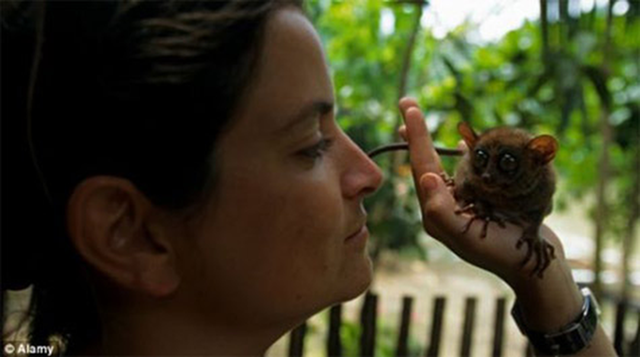 Lo&agrave;i vật qu&yacute; hiếm bậc nhất h&agrave;nh tinh, tưởng tuyệt chủng bất ngờ "t&aacute;i xuất" - Ảnh 3.