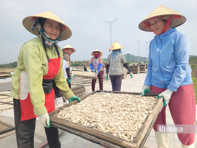 L&agrave;ng biển nổi tiếng xứ Thanh nhộn nhịp ng&agrave;y cận Tết- Ảnh 2.