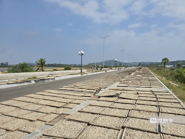 L&agrave;ng biển nổi tiếng xứ Thanh nhộn nhịp ng&agrave;y cận Tết- Ảnh 3.